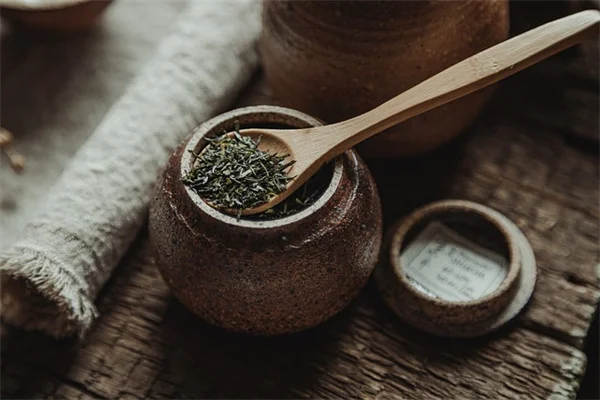 クリスマスに欠かせない伝統の植物5つと安全に飾るコツ