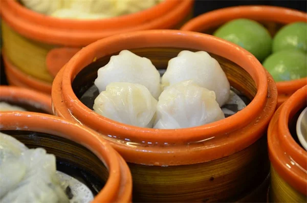 スナッグツリーは枯れ木じゃない！生態系を支える命の宿る場所