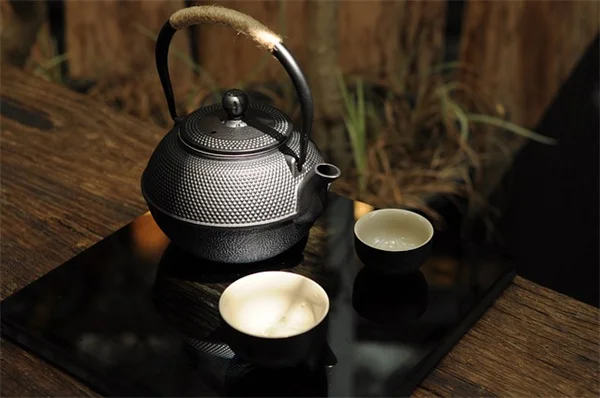 暑い地域でも失敗しない！ホスタの育て方7つのコツ